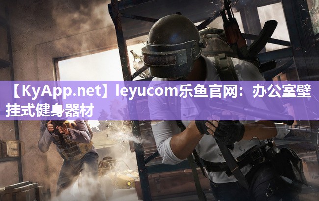 leyucom乐鱼官网：办公室壁挂式健身器材