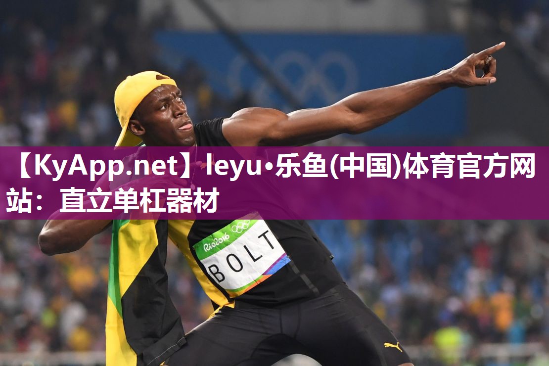 leyu·乐鱼(中国)体育官方网站：直立单杠器材