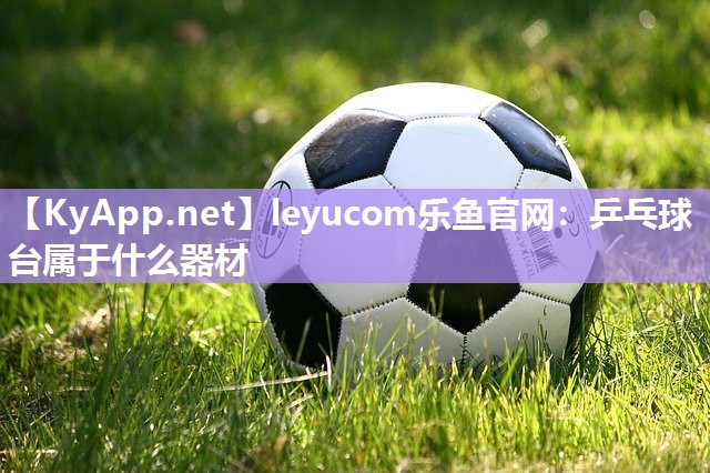 leyucom乐鱼官网：乒乓球台属于什么器材