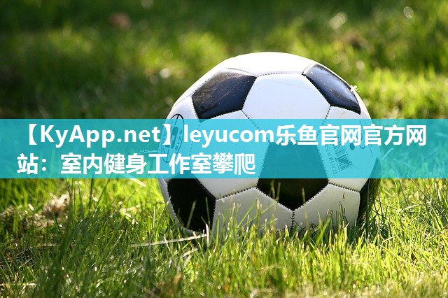 leyucom乐鱼官网官方网站：室内健身工作室攀爬