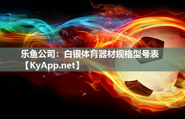 乐鱼公司：白银体育器材规格型号表