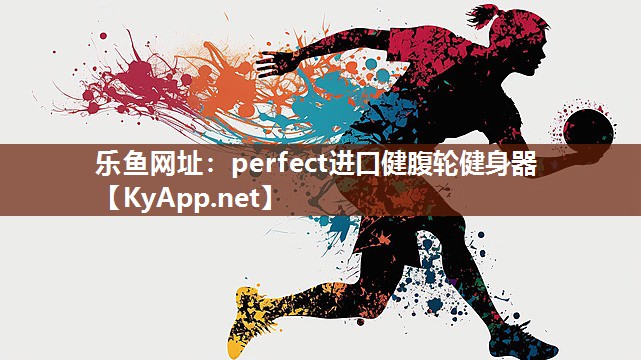 乐鱼网址：perfect进口健腹轮健身器